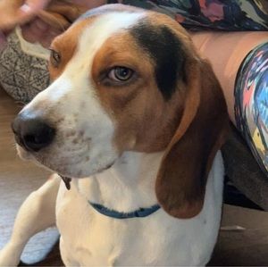 Meet your Posher, Kyleigh